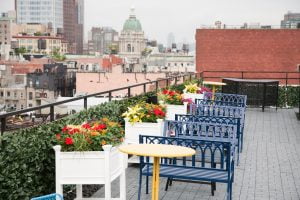 Bowery Roof Benches & Flower Boxes